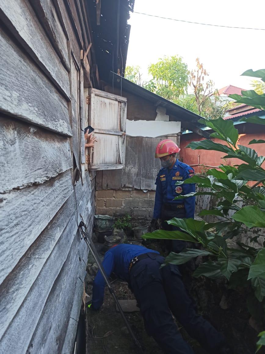 Warga Tj Laut Indah Sempat Panik Rumah Nya Dimasuki Ular Disdamkartan